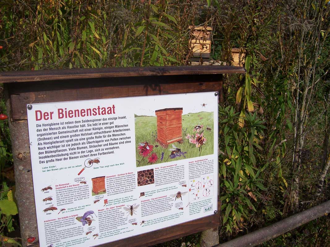 Auch ein Bienenstand ist Teil des Rundgangs. Auch ein Bienenstand ist Teil des Rundgangs.