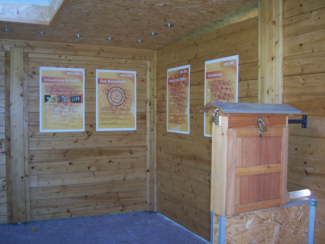 Welche Rolle spielen hier die Bienen? Welche Rolle spielen hier die Bienen?