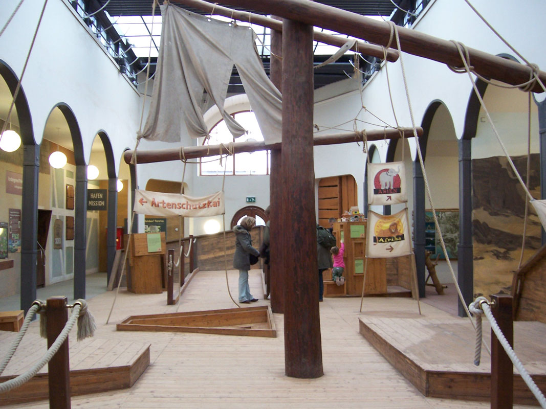 Im Entdeckerhaus Arche... Im Entdeckerhaus Arche...