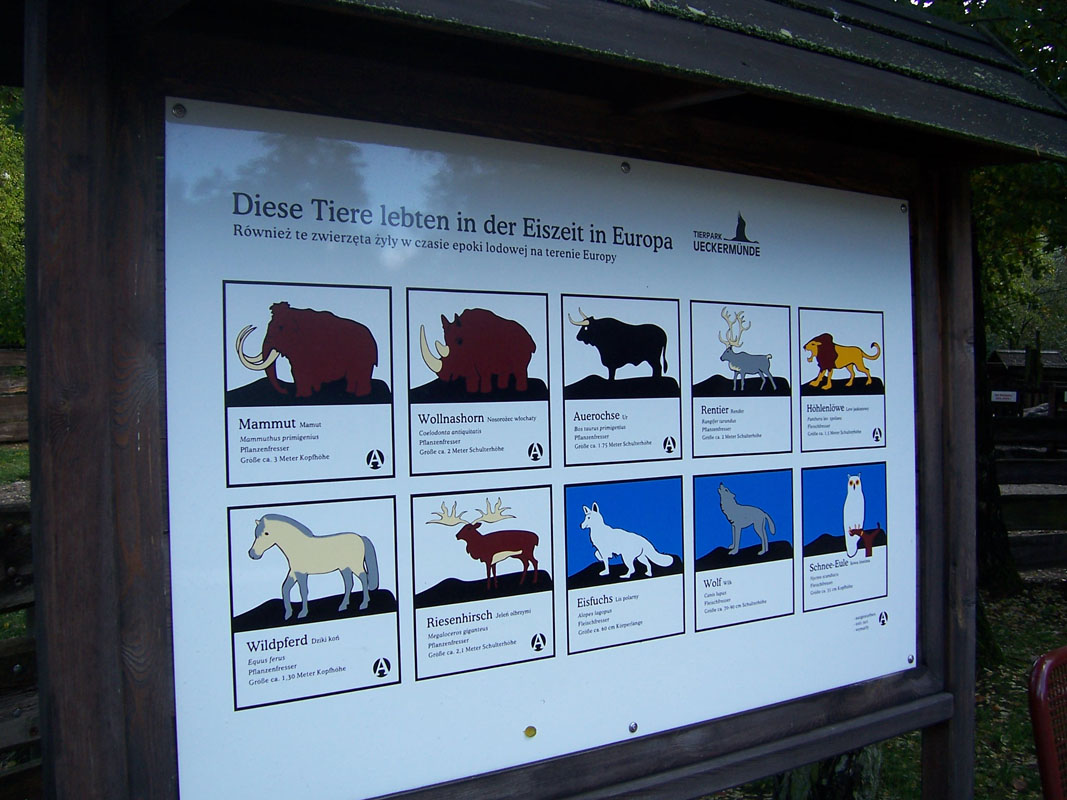 Welche Tiere lebten in der Eiszeit? Welche Tiere lebten in der Eiszeit?