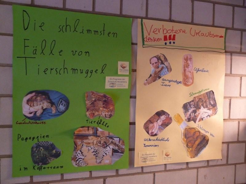 Wie können wir der Tierwelt helfen? Wie können wir der Tierwelt helfen?