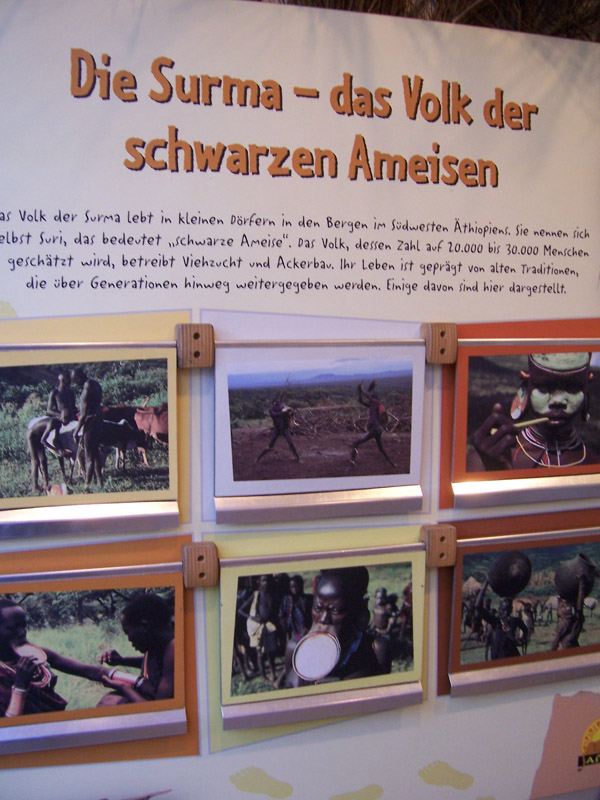 ... verschiedene Kulturen .... ... verschiedene Kulturen ....