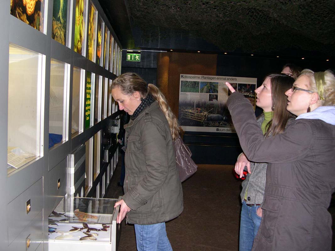 ... in Ausstellungen zum Thema Regenwald ... ... in Ausstellungen zum Thema Regenwald ...