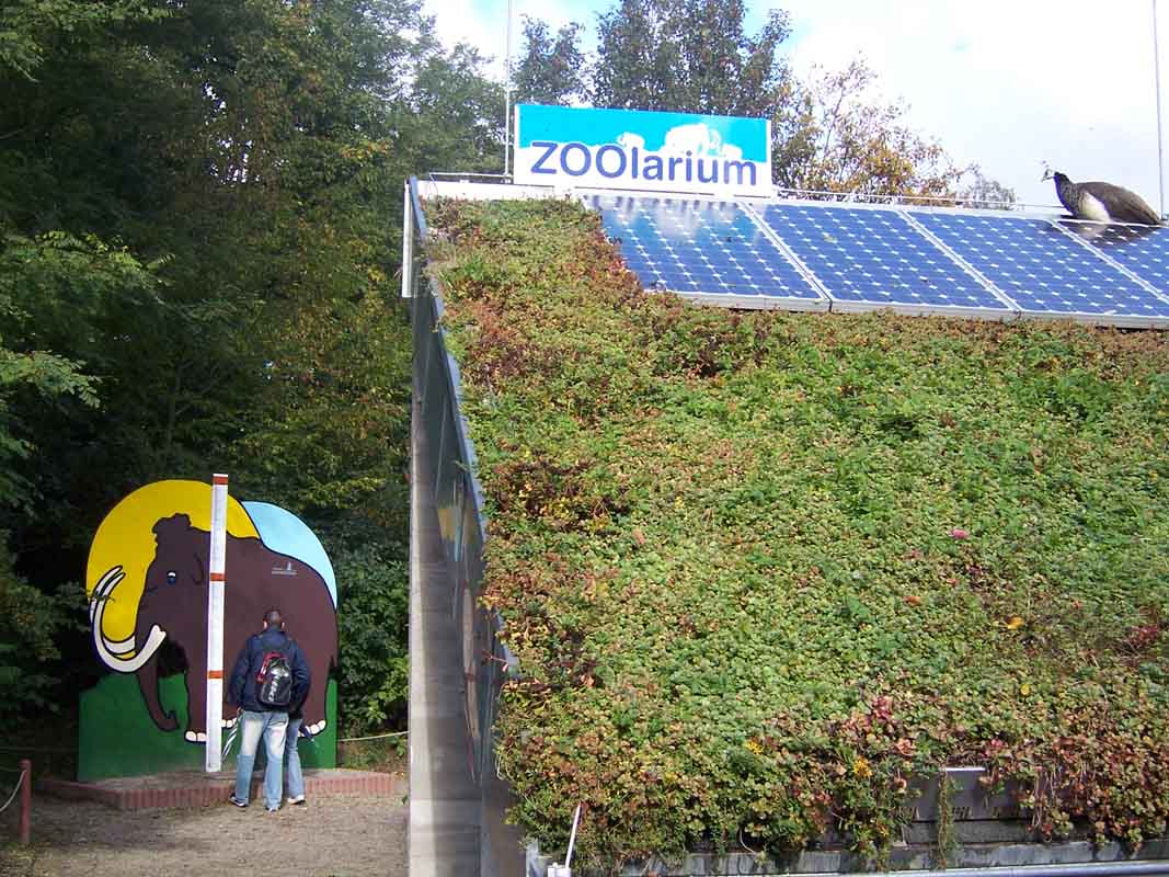 Am Zoolarium lernen Schüler Tiere der Eiszeit und die Kraft der Sonne kennen. Am Zoolarium lernen Schüler Tiere der Eiszeit und die Kraft der Sonne kennen.