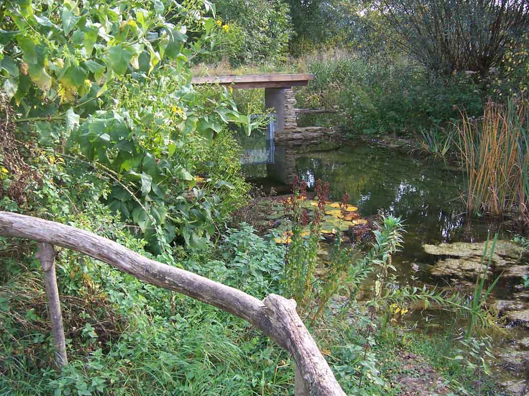 Die Besucher laufen auch an einem Teich vorbei ... Die Besucher laufen auch an einem Teich vorbei ...