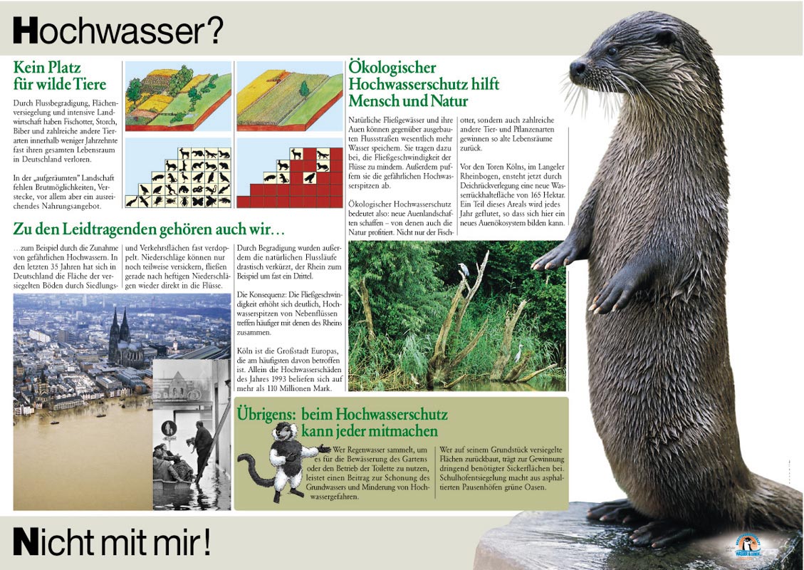 An den Gehegen informieren Tafeln ... An den Gehegen informieren Tafeln ...