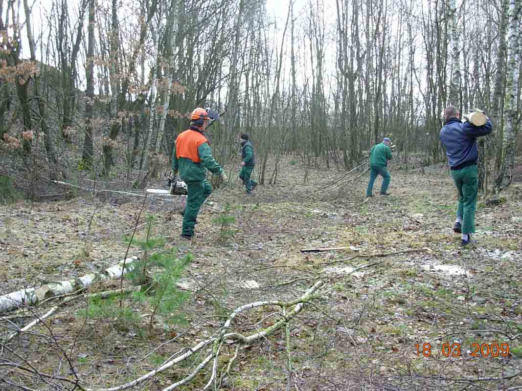 Gemeinsam renaturierten die Freiwilligen das Gelände. Gemeinsam renaturierten die Freiwilligen das Gelände.