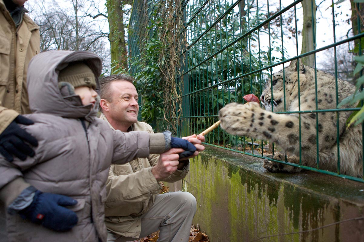 Sie dürfen die Tiere gemeinsam mit den Tierpflegern füttern. Sie dürfen die Tiere gemeinsam mit den Tierpflegern füttern.