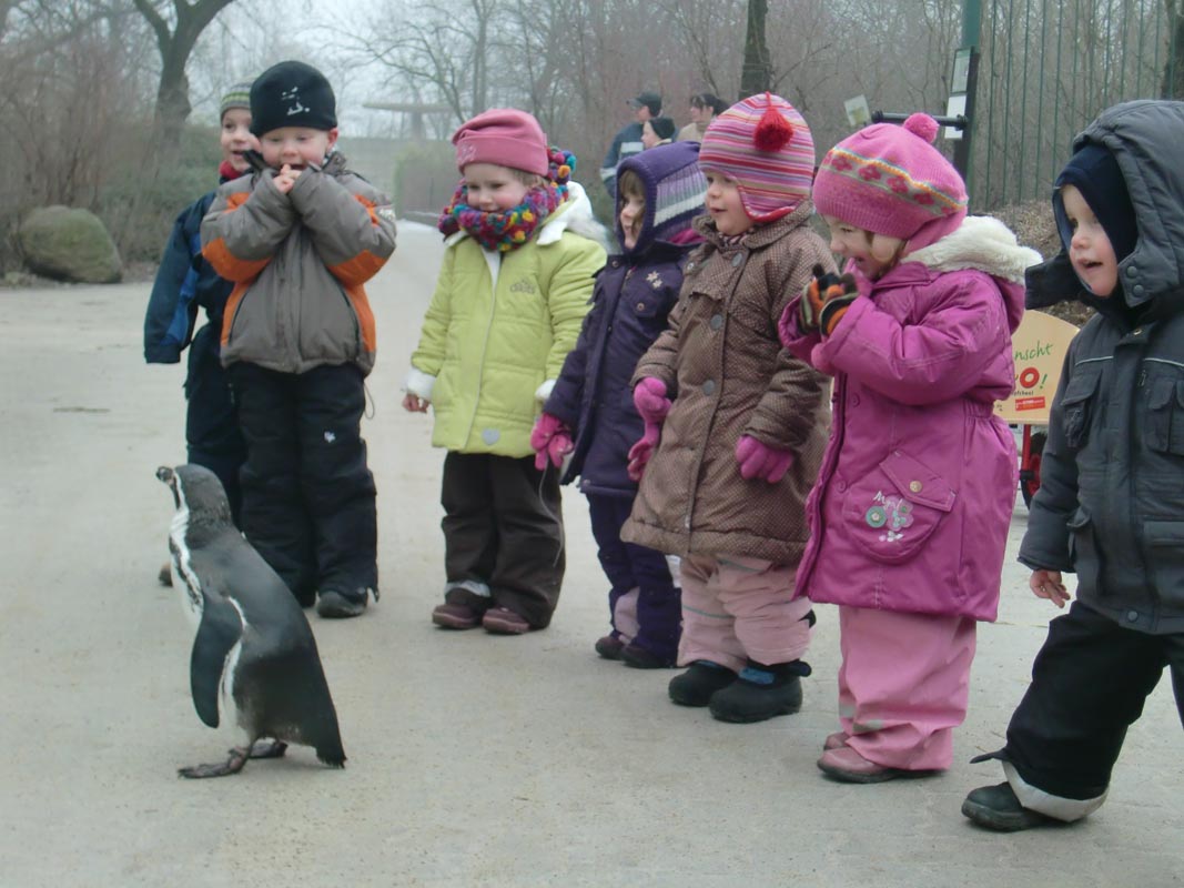 Die Kinder lernen im Zoo verschiedene Tiere kennen. Die Kinder lernen im Zoo verschiedene Tiere kennen.