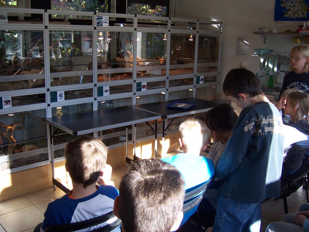 Vor den Terrarien im Forscherhaus Vor den Terrarien im Forscherhaus